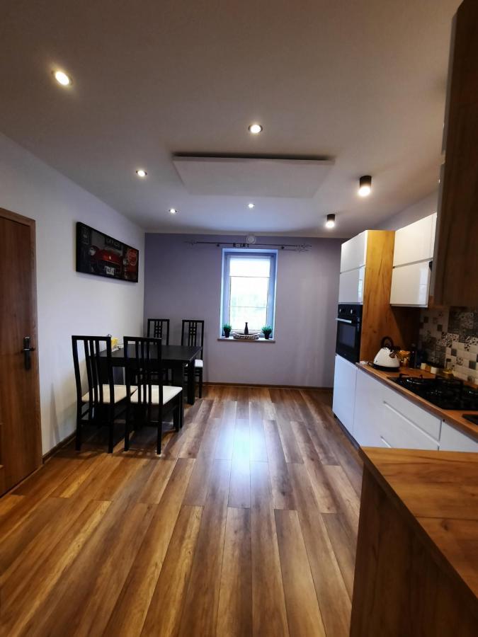 Apart Wilhelmina 75M2 Katowice Kültér fotó